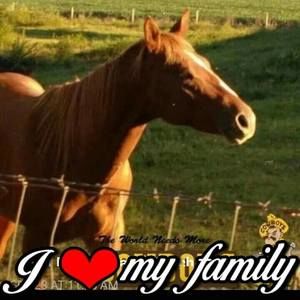 Meet your Posher, Opera